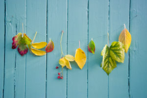 Autumn decoration with leaves garland Autumn decoration with leaves garland